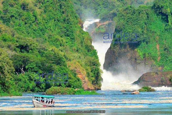  : named in honor of the president of the Royal geographical