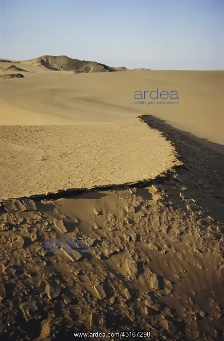 : Namib Desert : Namib Desert