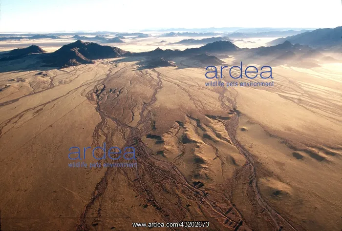 : NAMIB DESERT - Aerial of Dry river courses : NAMIB DESERT - Aerial of Dry river courses