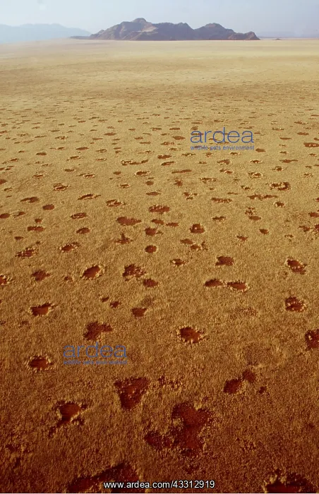 : NAMIB DESERT - Fairy Circles Circular patches : NAMIB DESERT - Fairy Circles Circular patches