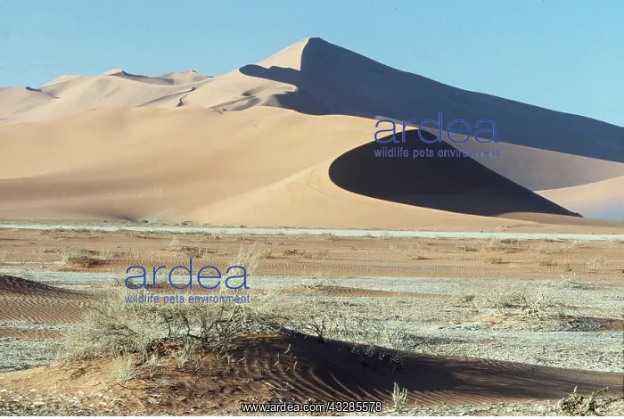 : NAMIB DESERT - NEAR SESRIEM : NAMIB DESERT - NEAR SESRIEM