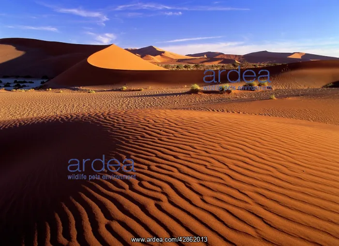 : Namib desert - red dunes at Sossusvlei : Namib desert - red dunes at Sossusvlei