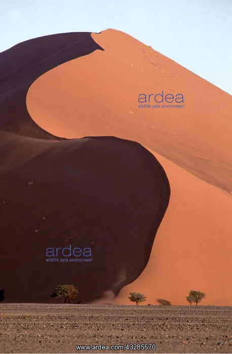: NAMIB DESERT- sand dunes : NAMIB DESERT- sand dunes