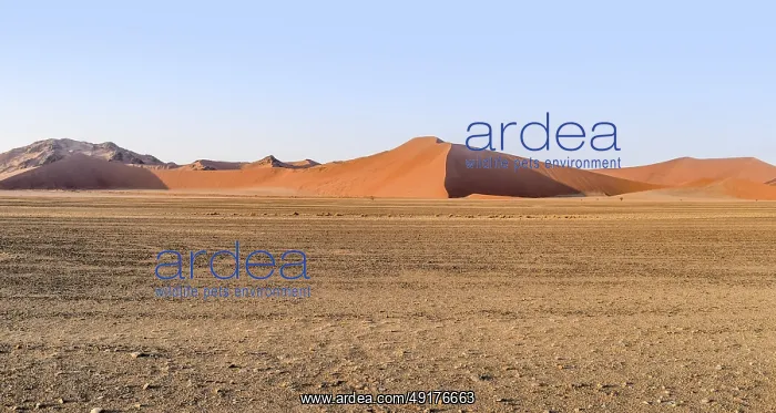 : Namib desert scenery around the Sossusvlei area in Namibia : Namib desert scenery around the Sossusvlei area in Namibia
