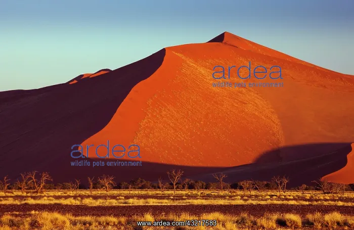: Namib-Naukluft National Park, Namibia : Namib-Naukluft National Park, Namibia