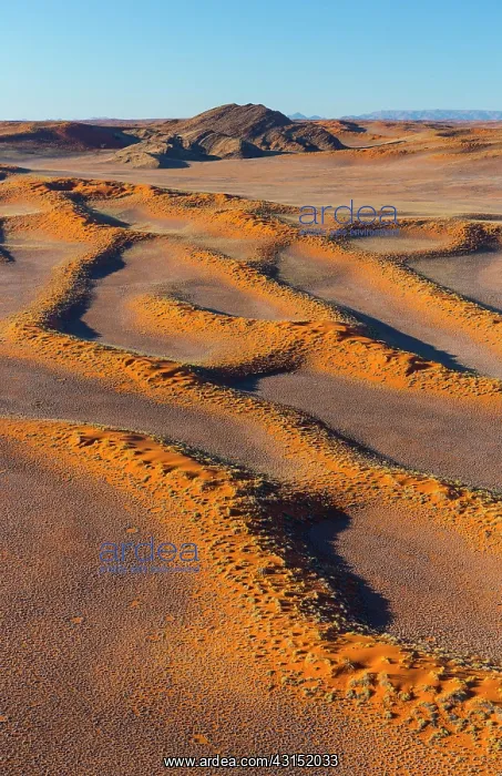: Namib-Naukluft National Park, Namibia, Africa : Namib-Naukluft National Park, Namibia, Africa