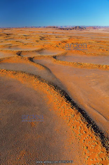 : Namib-Naukluft National Park, Namibia, Africa : Namib-Naukluft National Park, Namibia, Africa