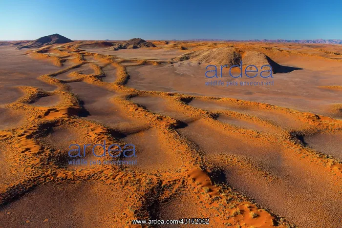 : Namib-Naukluft National Park, Namibia, Africa : Namib-Naukluft National Park, Namibia, Africa
