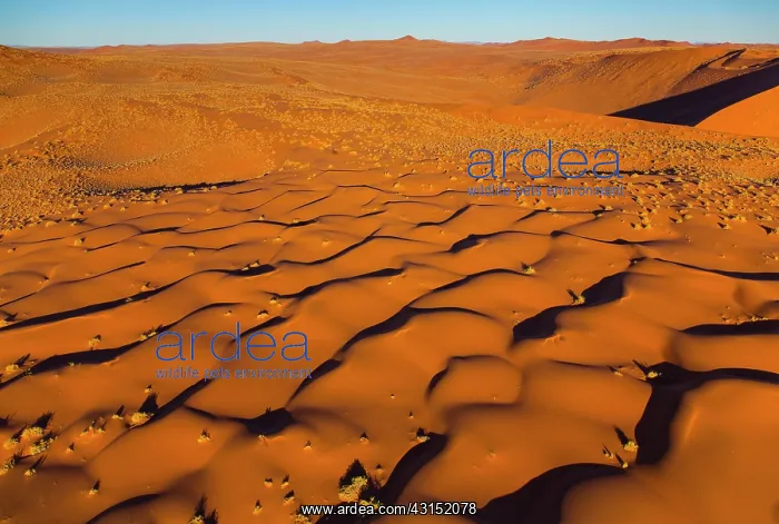 : Namib-Naukluft National Park, Namibia, Africa : Namib-Naukluft National Park, Namibia, Africa