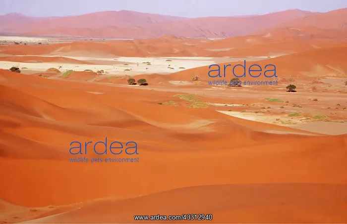 : Namib-Naukluft Park; sand dunes and dry pans, grown : Namib-Naukluft Park; sand dunes and dry pans, grown