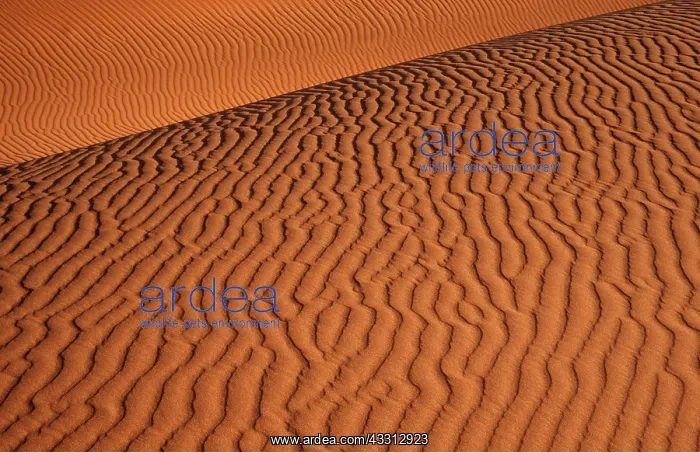 : Namib - Naukluft Park; structural forms in the sand : Namib - Naukluft Park; structural forms in the sand