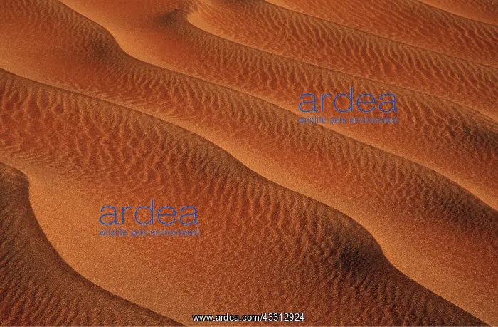 : Namib-Naukluft Park - structural forms in the sand : Namib-Naukluft Park - structural forms in the sand