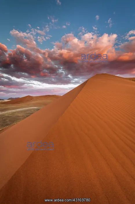 : Namib Naukluft Park sunset with sand dune in the : Namib Naukluft Park sunset with sand dune in the