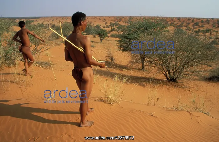 : Namibia - 2 Kung Bushmen / San in the Kalahari : Namibia - 2 Kung Bushmen / San in the Kalahari