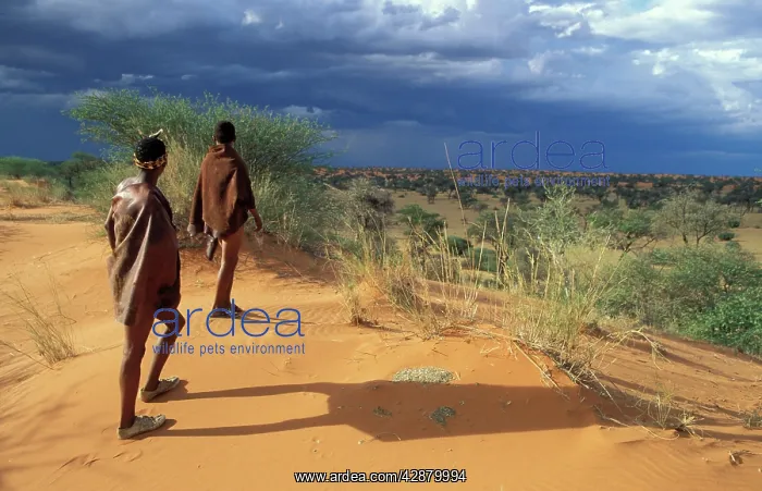 : Namibia - 2 Kung Bushmen / San in the Kalahari : Namibia - 2 Kung Bushmen / San in the Kalahari