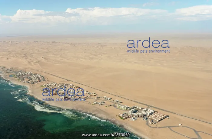 : Namibia - Aerial view of holiday resorts along : Namibia - Aerial view of holiday resorts along