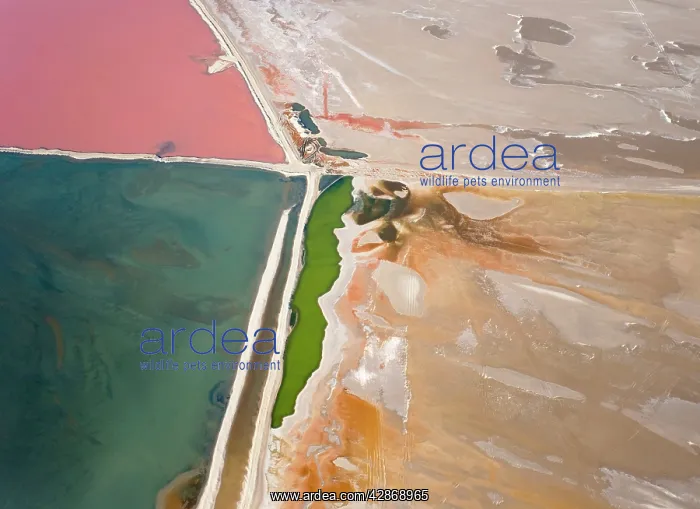 : Namibia - Aerial view of saline water at the salt : Namibia - Aerial view of saline water at the salt