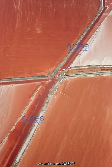 : Namibia - Aerial view of saline water at the salt : Namibia - Aerial view of saline water at the salt