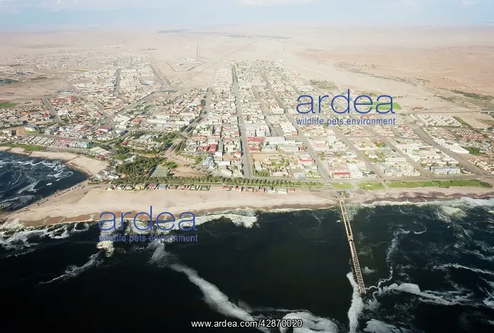 : Namibia - Aerial view of Swakopmund between Namib : Namibia - Aerial view of Swakopmund between Namib