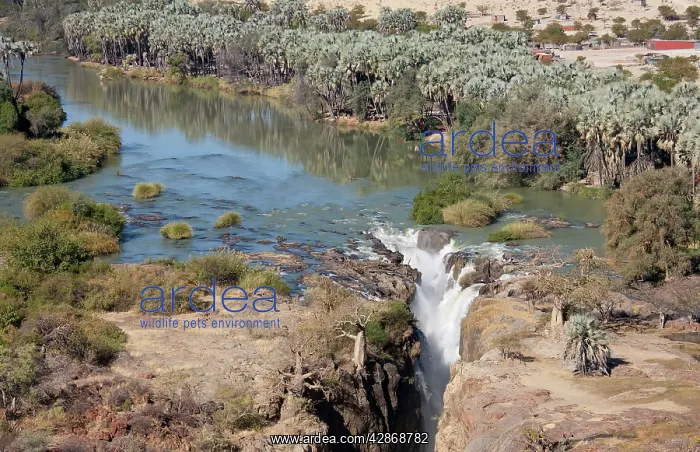 : Namibia - At the beautiful Epupa Falls the Kunene : Namibia - At the beautiful Epupa Falls the Kunene