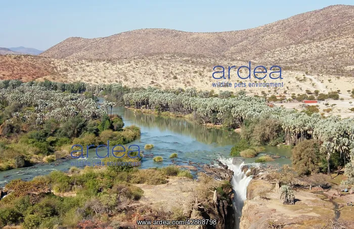: Namibia - At the beautiful Epupa Falls the Kunene : Namibia - At the beautiful Epupa Falls the Kunene