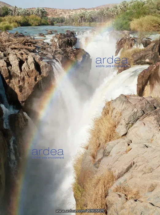 : Namibia - At the beautiful Epupa Falls the Kunene : Namibia - At the beautiful Epupa Falls the Kunene