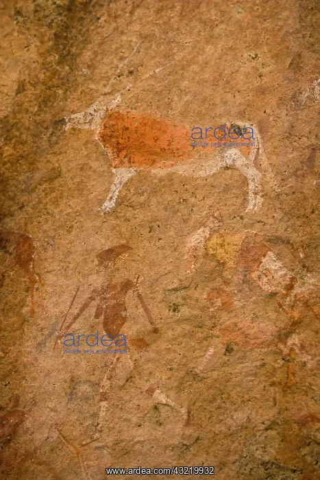 : Namibia, Brandberg Nature Reserve. Rock : Namibia, Brandberg Nature Reserve. Rock