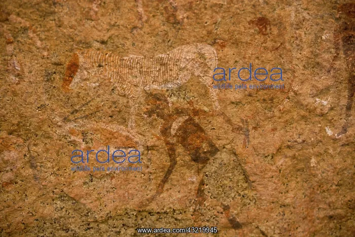 : Namibia, Brandberg Nature Reserve. Rock : Namibia, Brandberg Nature Reserve. Rock