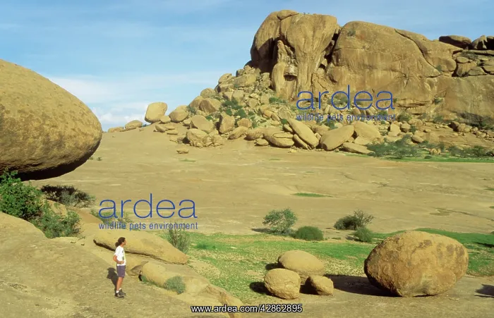 : Namibia - Bull's Party and Elephant's Head : Namibia - Bull's Party and Elephant's Head