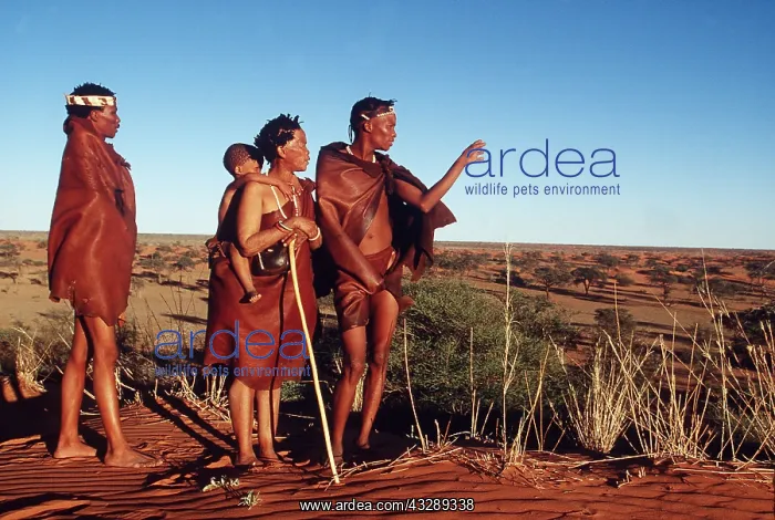 : NAMIBIA - BUSHMAN / San FAMILY : NAMIBIA - BUSHMAN / San FAMILY