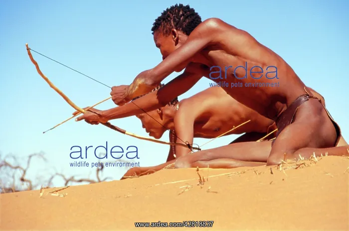 : Namibia - bushmen hunting : Namibia - bushmen hunting