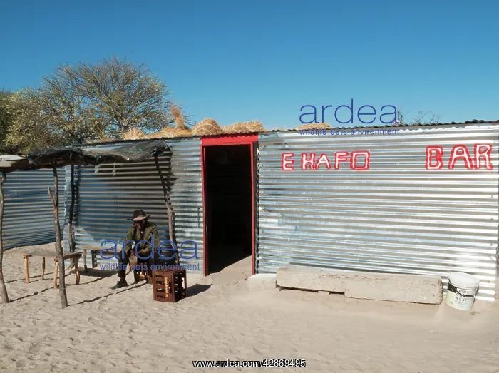 : Namibia - One of the countless so-called Cuca shops : Namibia - One of the countless so-called Cuca shops