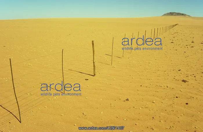 : Namibia - Dry Season - fence separating farmland : Namibia - Dry Season - fence separating farmland