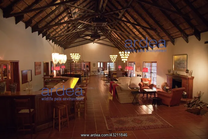 : Namibia, Etosha National Park. Interior : Namibia, Etosha National Park. Interior