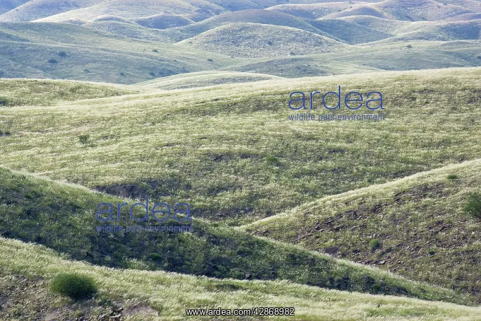  : Namibia - Fissured landscape in the vicinity of