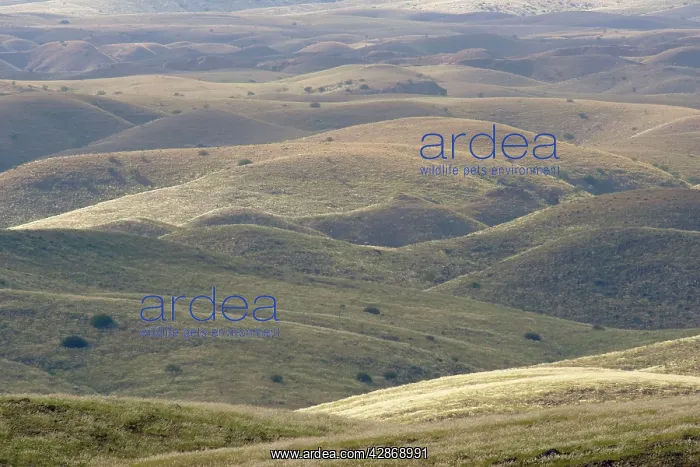 : Namibia - Fissured landscape in the vicinity of : Namibia - Fissured landscape in the vicinity of