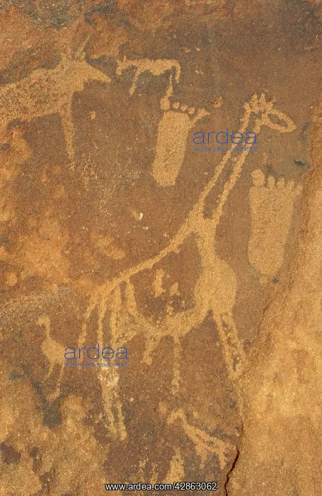 : Namibia - giraffe and human footprints at the Twyfelfontein : Namibia - giraffe and human footprints at the Twyfelfontein