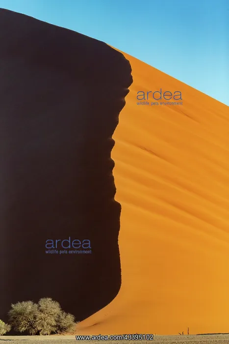 : DUNES. Namibia, Hardap region, Namib Desert, Namib-Naukluft National Park : DUNES. Namibia, Hardap region, Namib Desert, Namib-Naukluft National Park