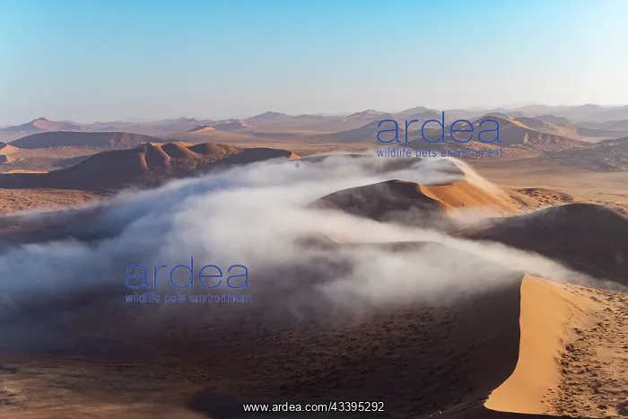 : DUNES. Namibia, Hardap region, Namib Desert, Namib-Naukluft National Park : DUNES. Namibia, Hardap region, Namib Desert, Namib-Naukluft National Park
