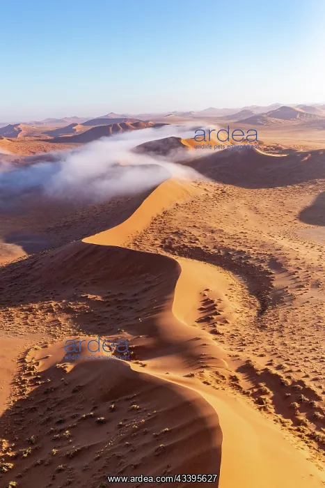 : DUNES. Namibia, Hardap region, Namib Desert, Namib-Naukluft National Park : DUNES. Namibia, Hardap region, Namib Desert, Namib-Naukluft National Park