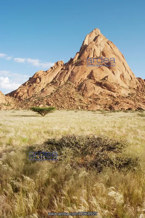 : Namibia - The isolated Spitzkoppe mountain (1759 : Namibia - The isolated Spitzkoppe mountain (1759