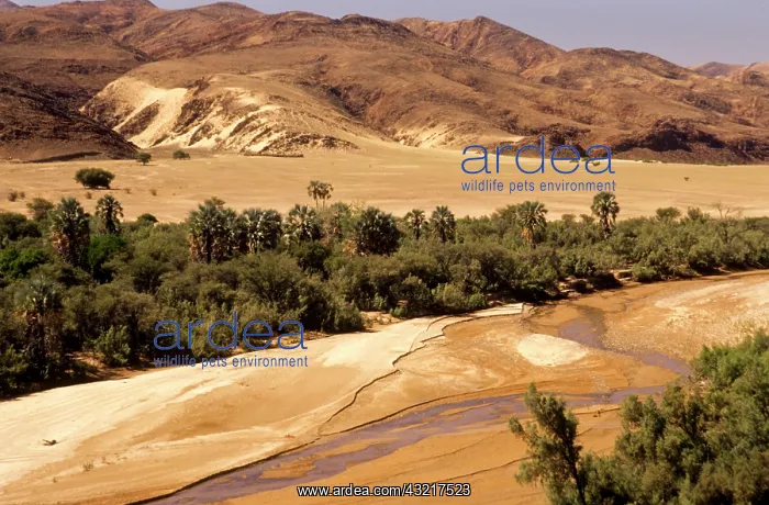 : Namibia: Kaokoland, Hoarsib valley, near : Namibia: Kaokoland, Hoarsib valley, near