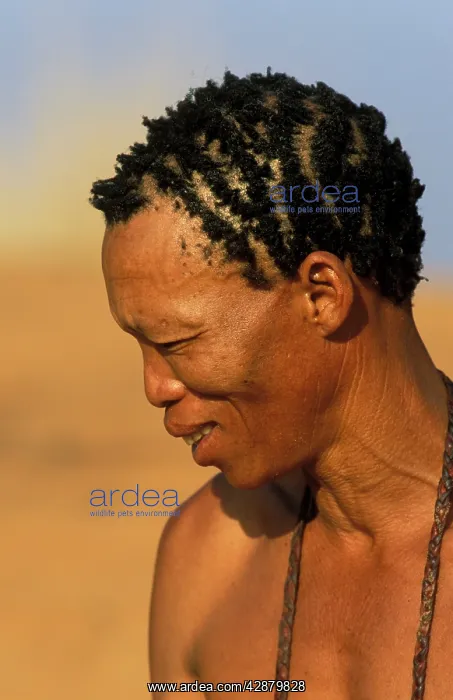 : Namibia - Kung Bushman / San in the Kalahari Desert : Namibia - Kung Bushman / San in the Kalahari Desert