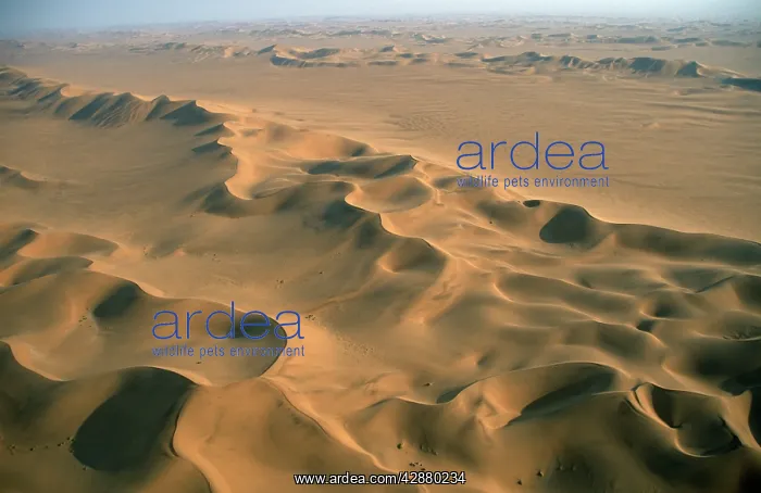 : Namibia - Linear dunes in the Namib desert : Namibia - Linear dunes in the Namib desert