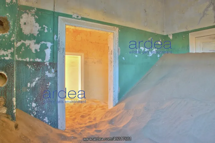: Namibia, Luderitz. Morning light makes a : Namibia, Luderitz. Morning light makes a