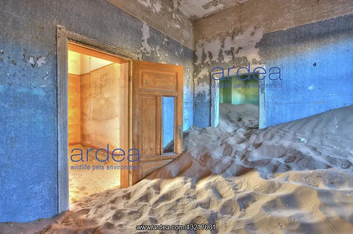  : Namibia, Luderitz. Morning light makes a