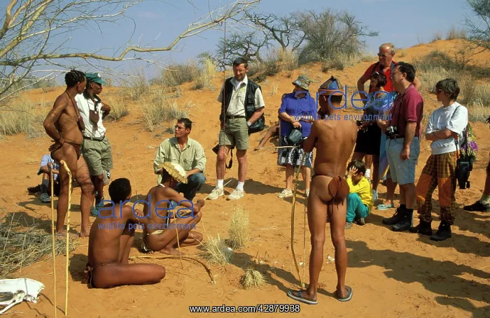 : Namibia - During a meeting between some lodge visitors : Namibia - During a meeting between some lodge visitors