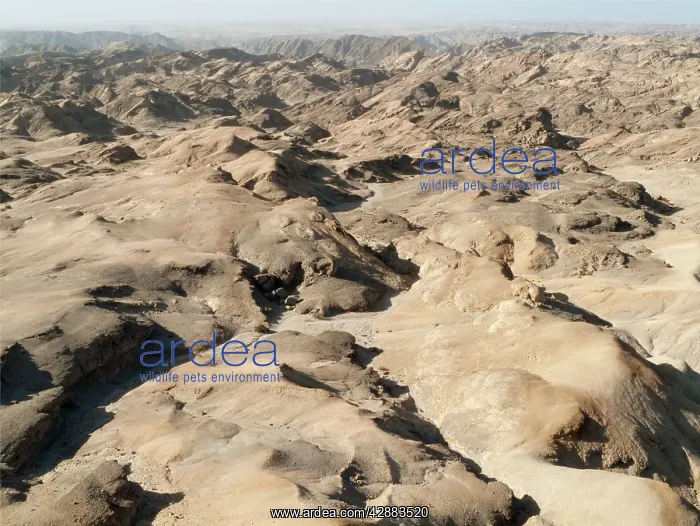 : Namibia - The Moon Landscape east of Swakopmund : Namibia - The Moon Landscape east of Swakopmund