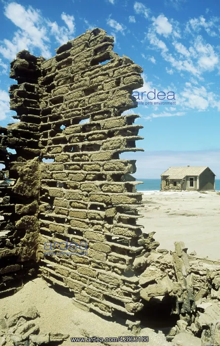 : Namibia - in the Namib Desert inside the restricted : Namibia - in the Namib Desert inside the restricted