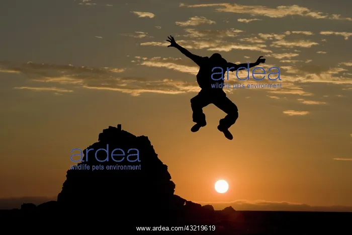 : Namibia, Namib Naukluft National Park, Silhouette : Namibia, Namib Naukluft National Park, Silhouette
